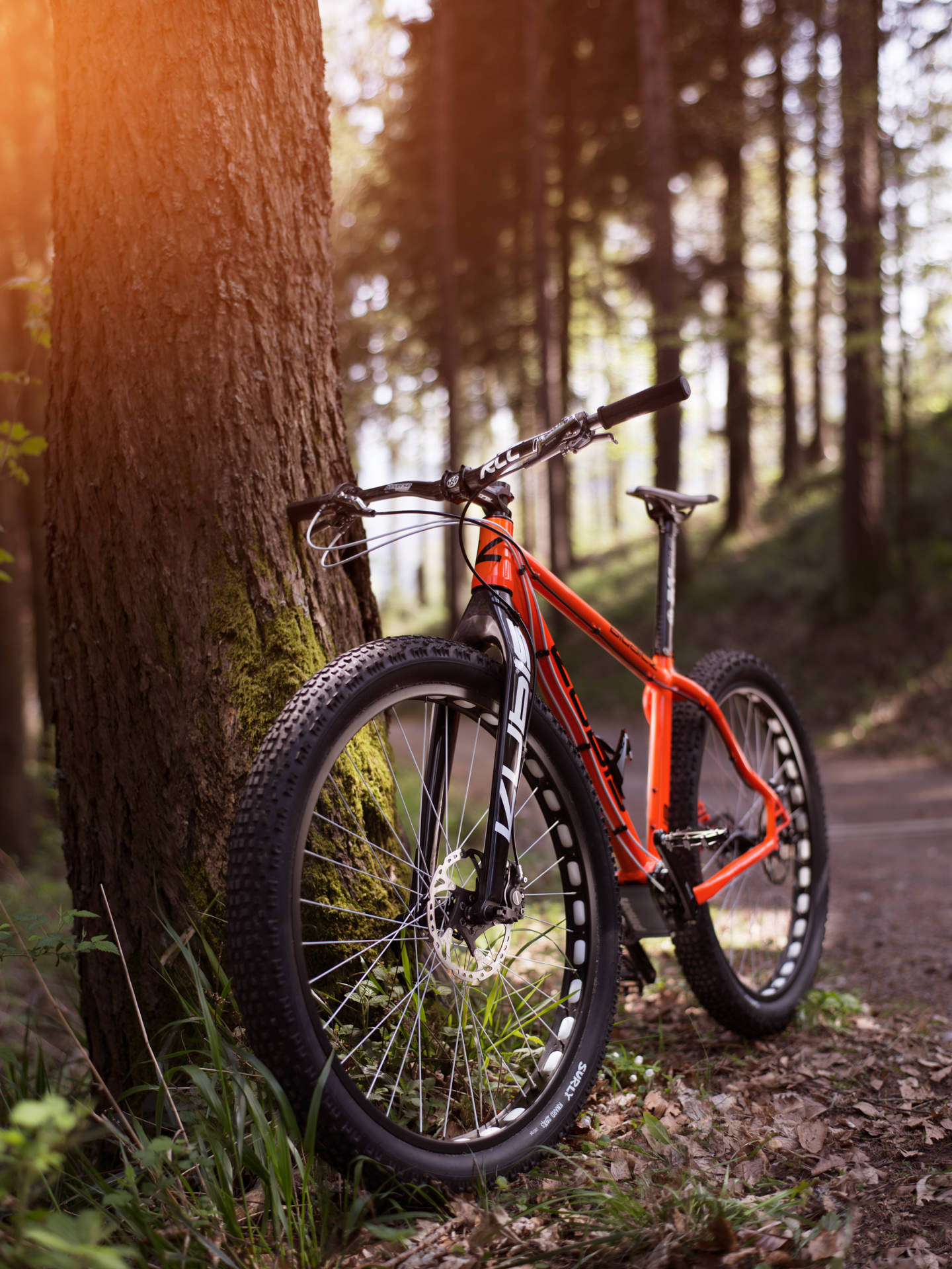 Kubis Fat Tire Bike 29+